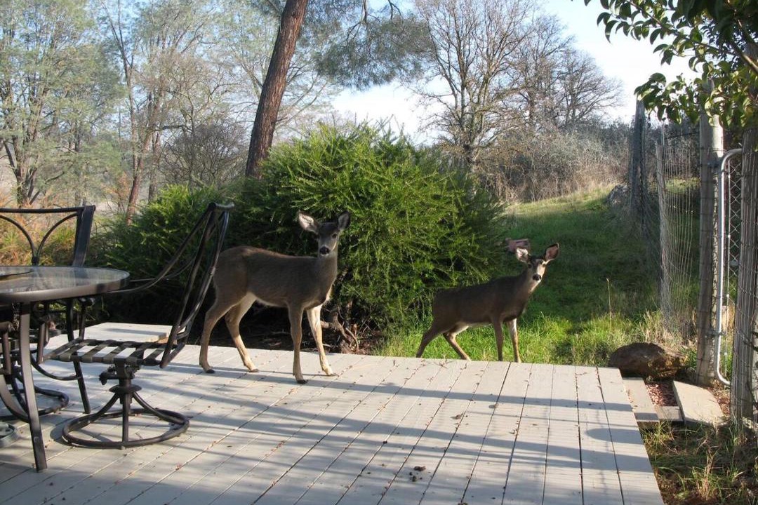 Photo of Others in Rancho Calaveras