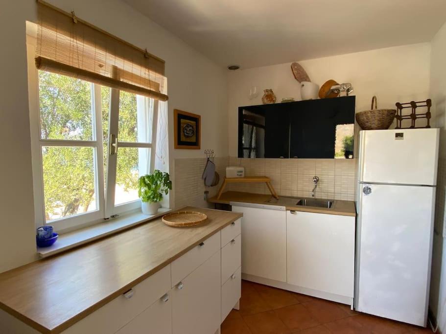 Photo of Kitchen in Kornati