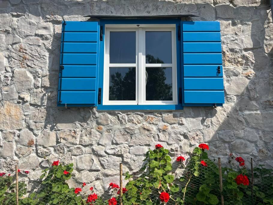Photo of Buildings in Kornati