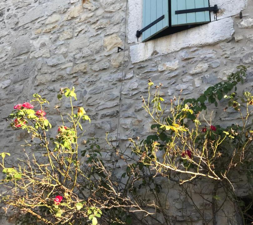 Photo of Others in Saint-Andre-de-Cruzieres