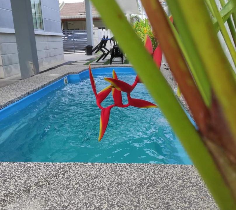 Photo of Outdoor in Guar Chempedak