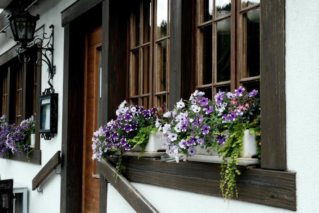 Photo of Others in Willigen
