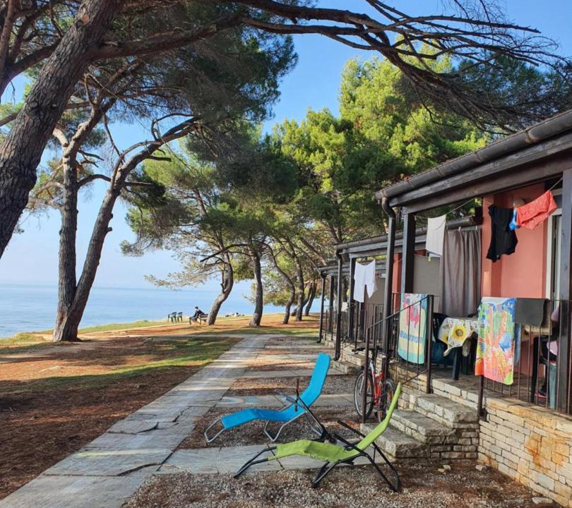 Photo of Others in Novigrad