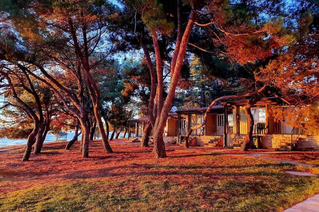 Photo of Others in Novigrad