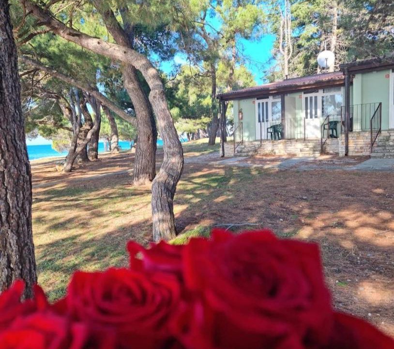 Photo of Others in Novigrad