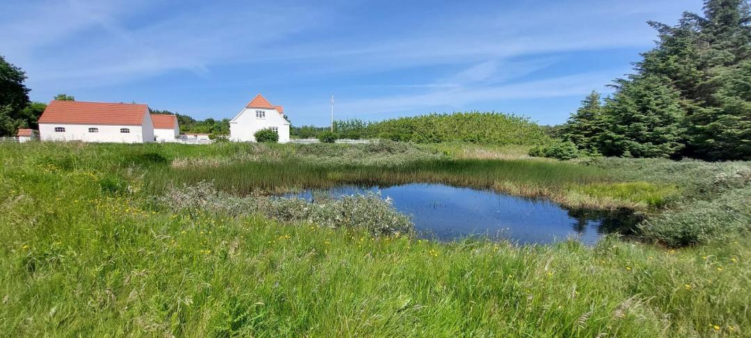 Photo of Others in Hvorup Klit