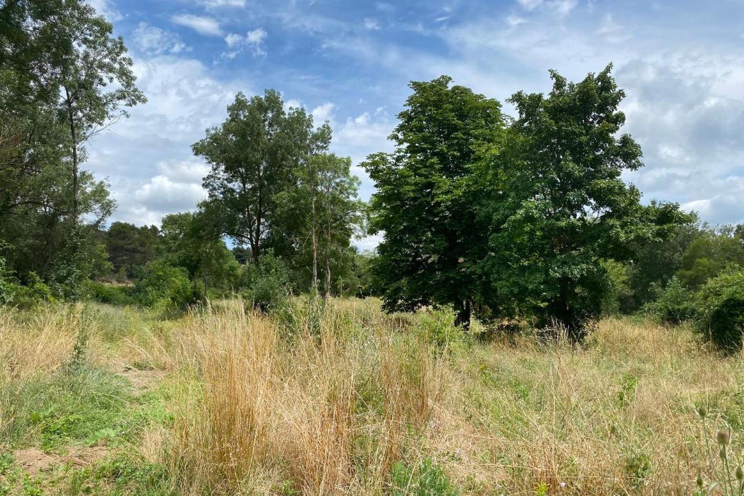 Photo of Others in Ladern-sur-Lauquet