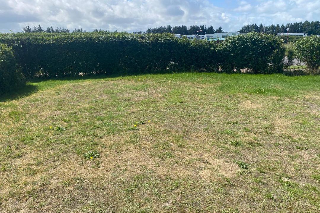 Photo of Others in Hvorup Klit