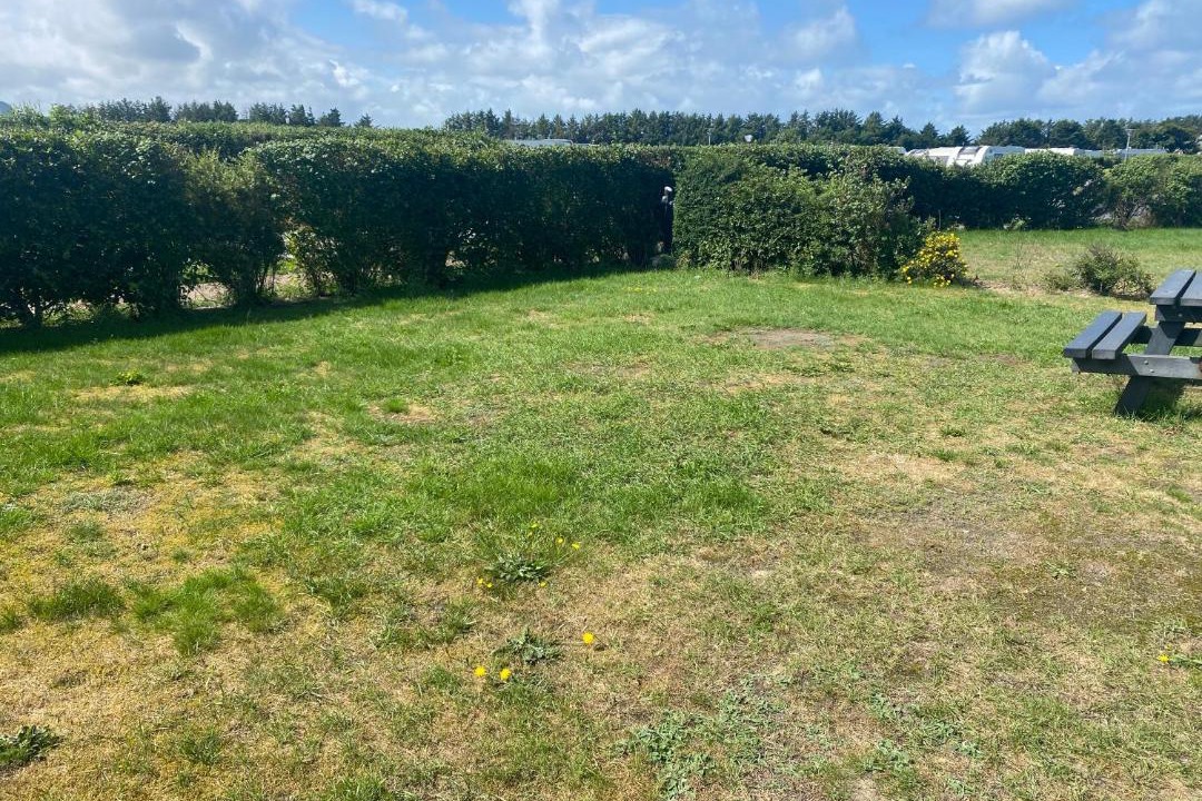 Photo of Others in Hvorup Klit