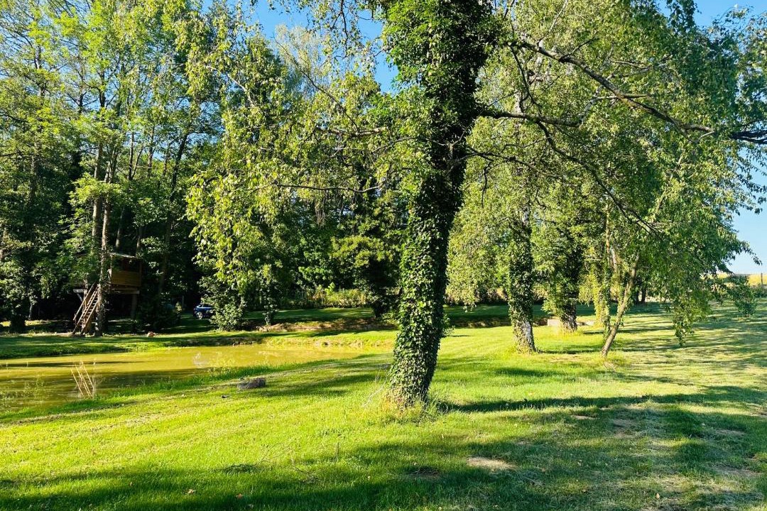 Photo of Outdoor in Ringendorf