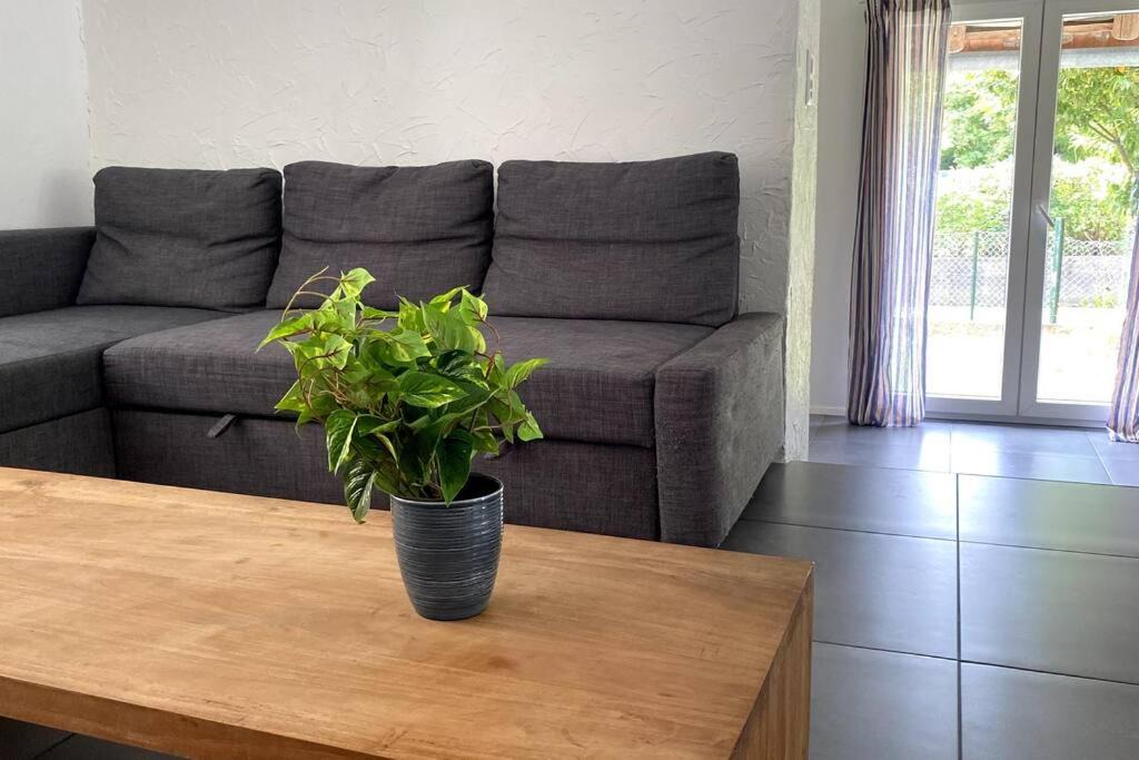 Photo of Others in Gals