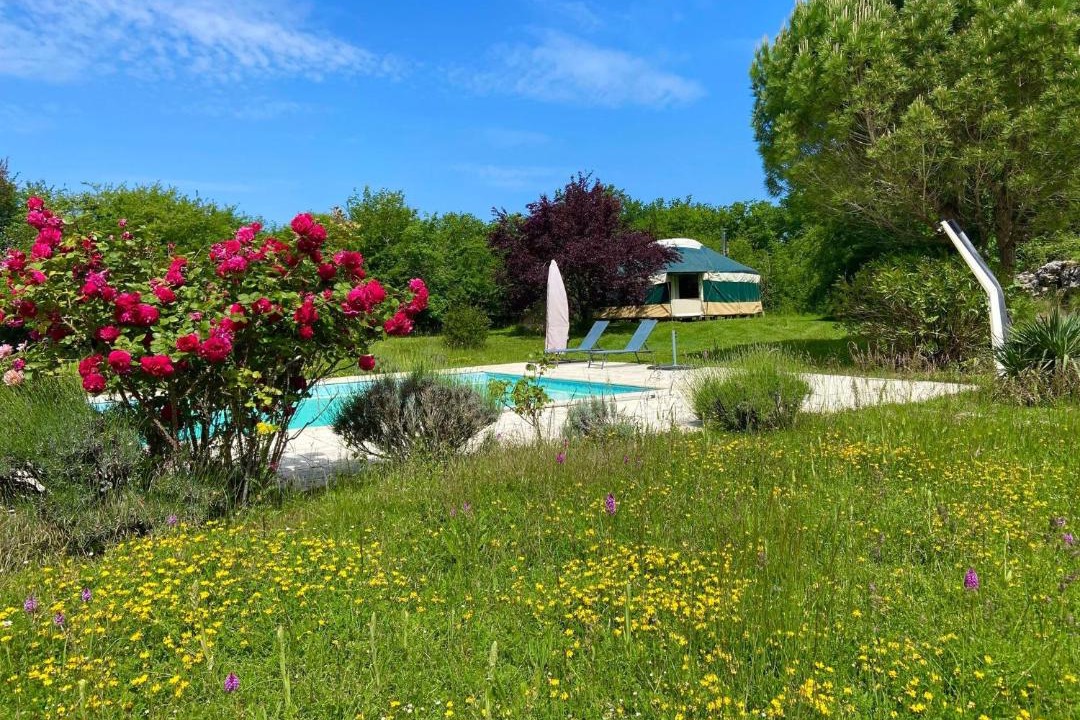 Photo of Others in Montreal