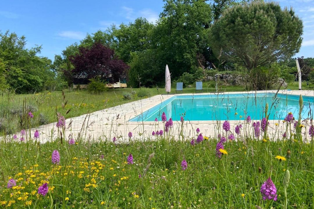 Photo of Others in Montreal