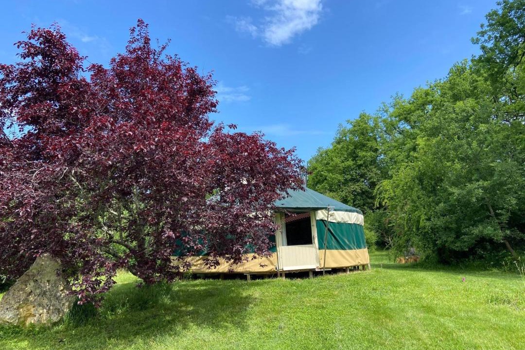 Photo of Others in Montreal