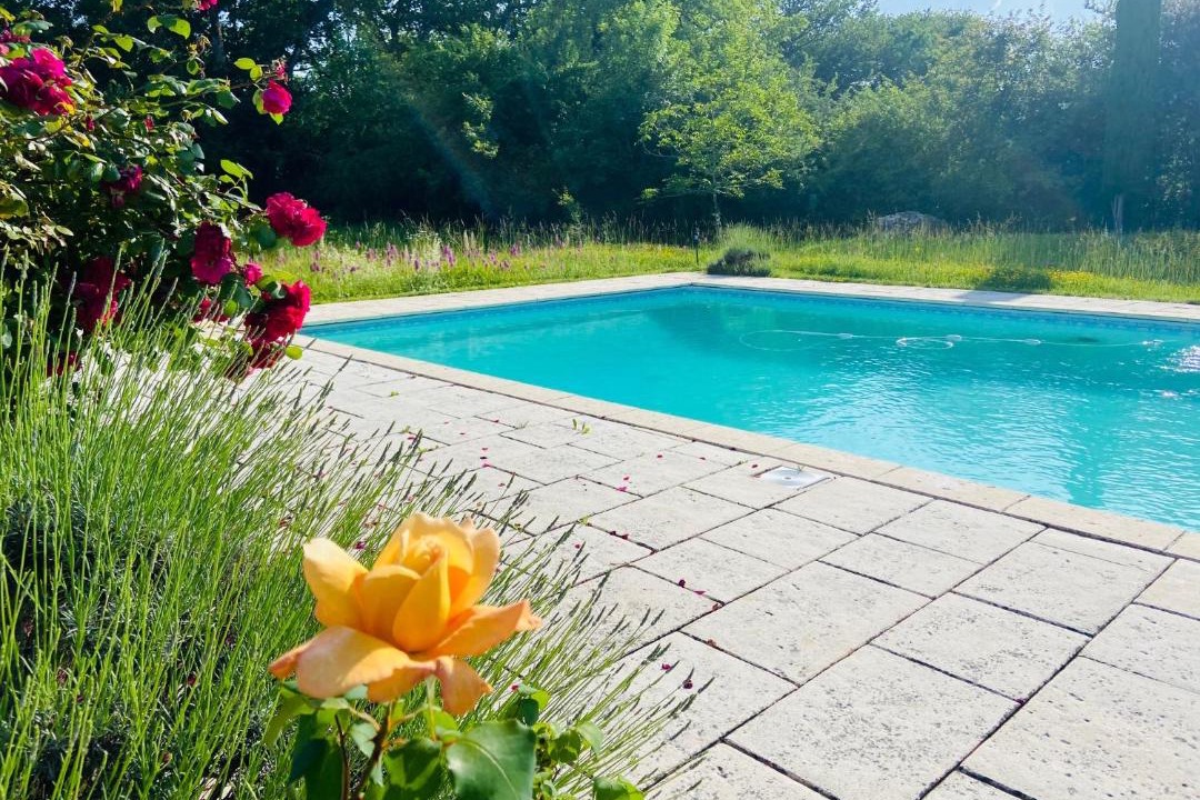 Photo of Others in Montreal