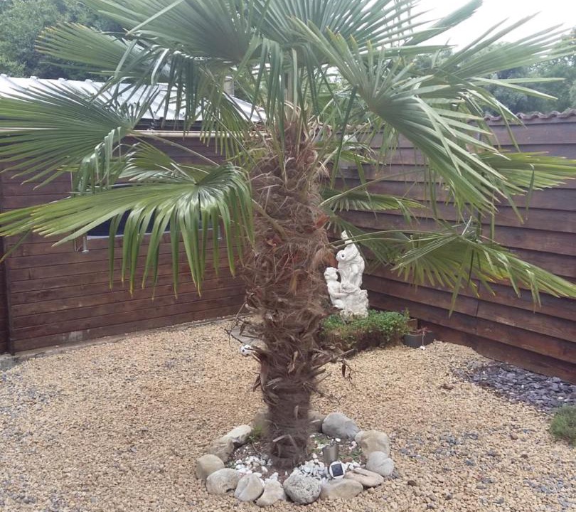 Photo of Others in Fressies