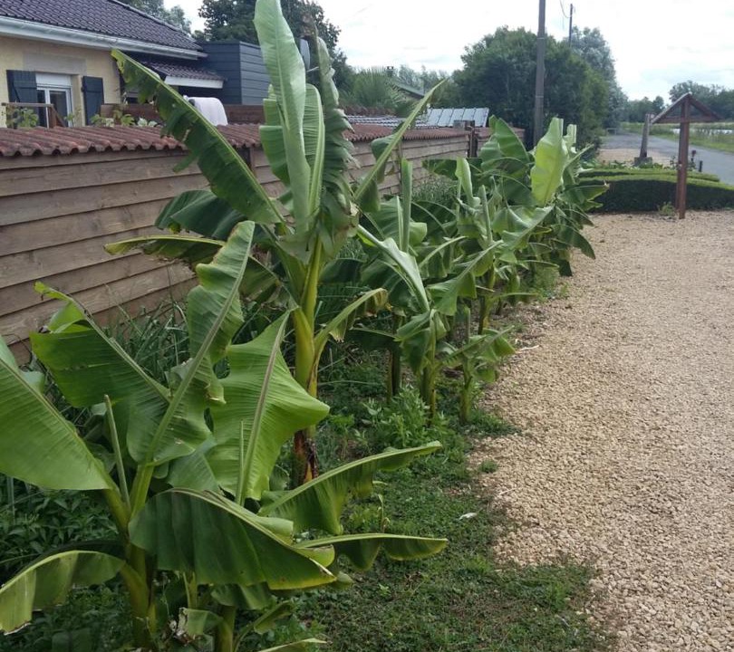 Photo of Others in Fressies