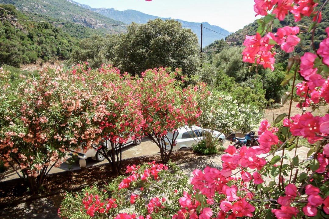 Photo of Others in Serriera