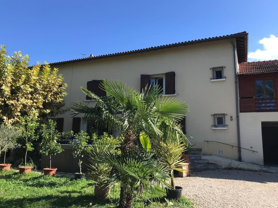 Photo of Others in Albon