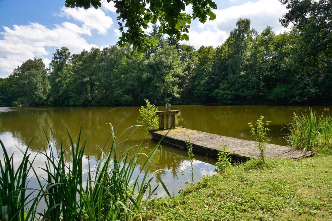 Photo of Others in Mery-es-Bois