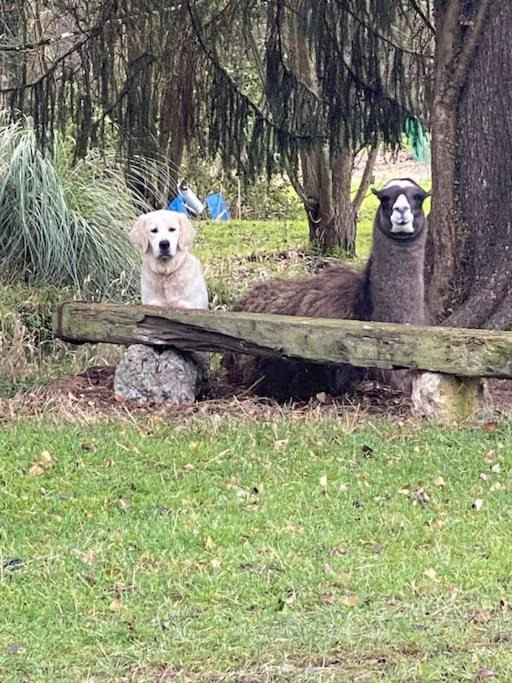 Photo of Others in Pontchardon