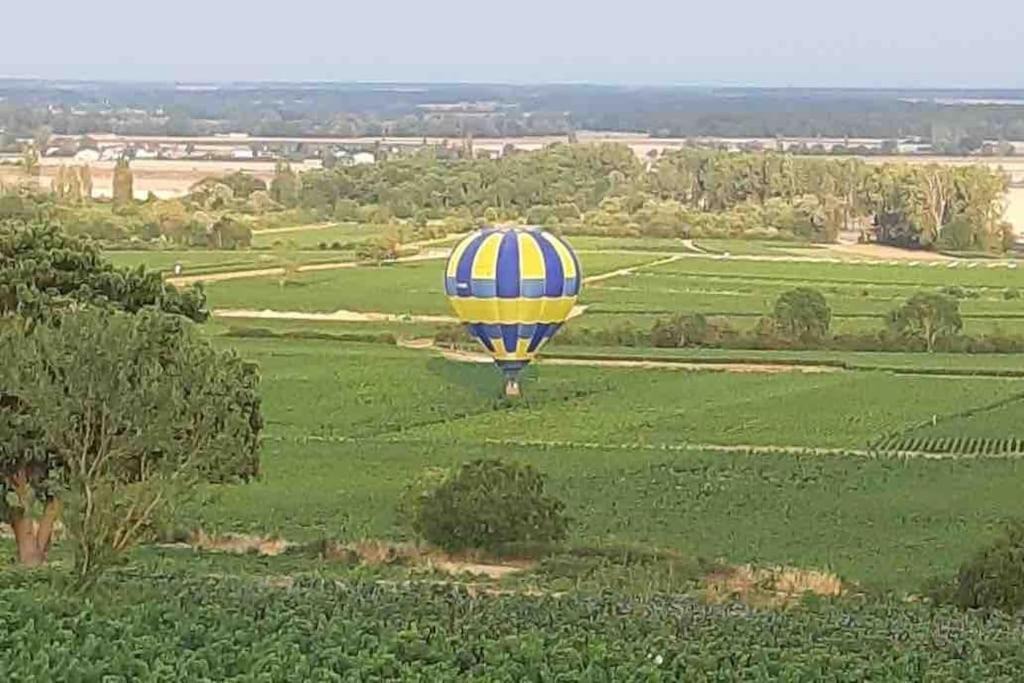 Photo of Others in Savigny-les-Beaune