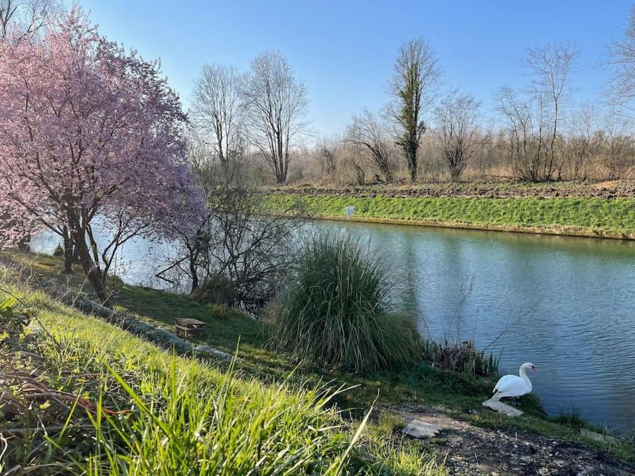 Photo of Others in Couvrot