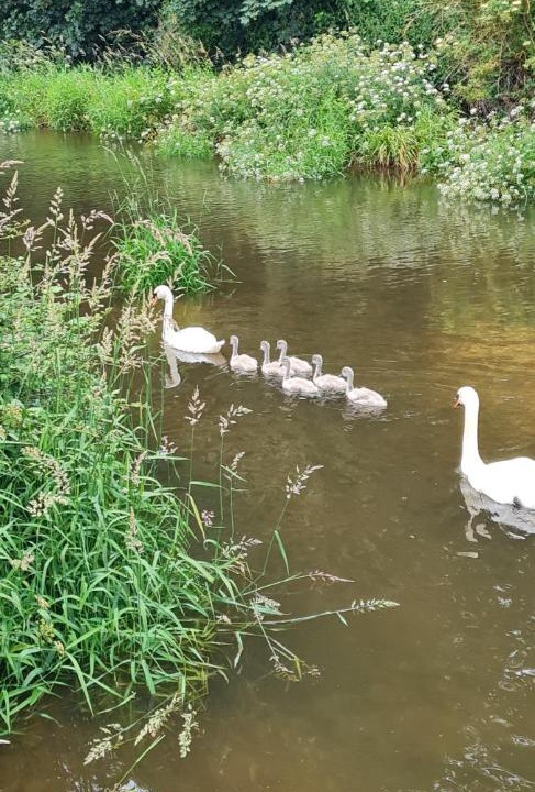 Photo of Others in Bicton