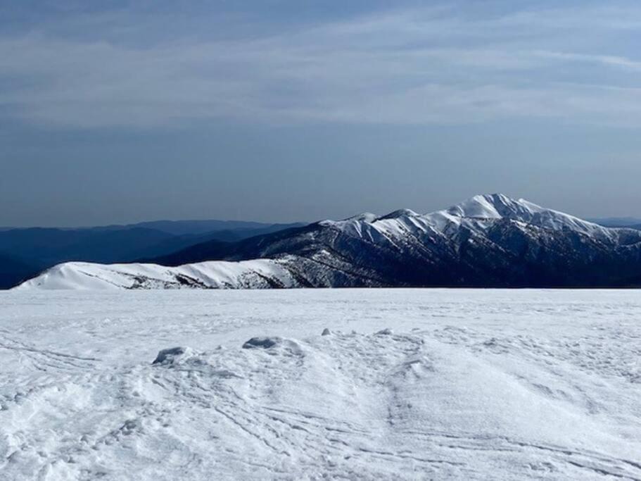 Photo of Others in Hotham Heights