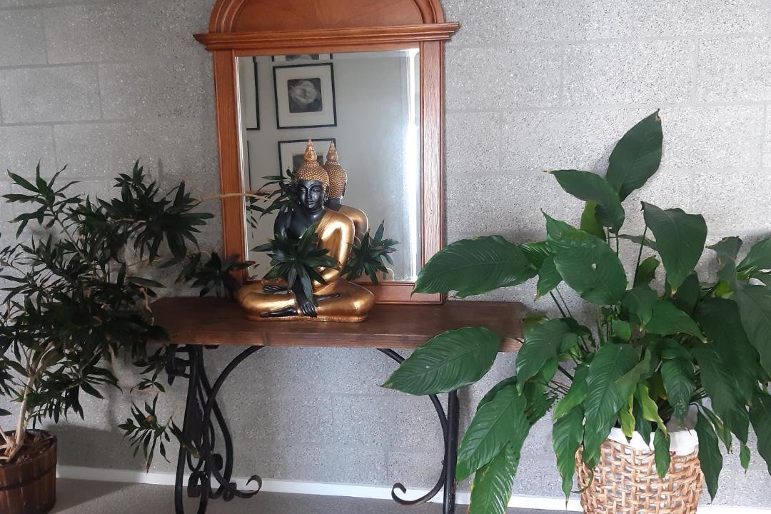 Photo of Others in Clarks Beach