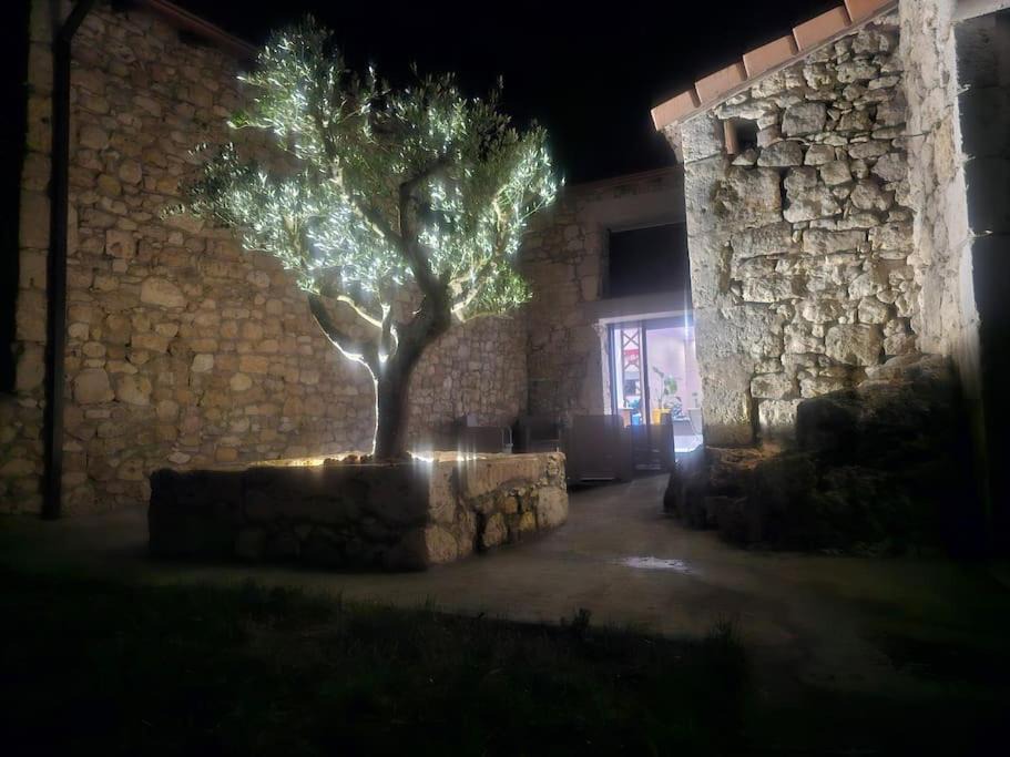Photo of Buildings in Massels