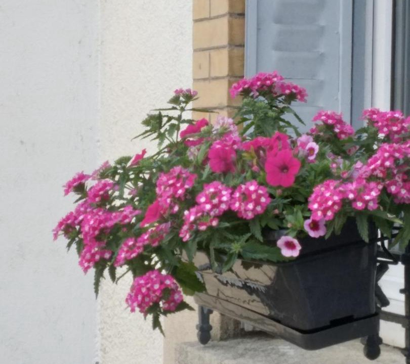 Photo of Others in Consenvoye