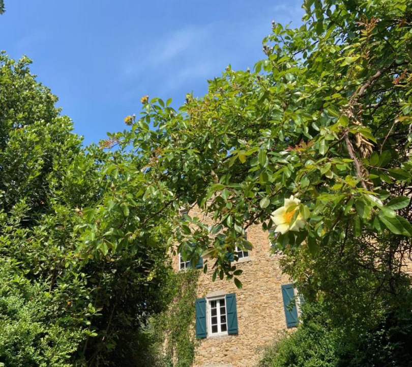 Photo of Buildings in Generargues