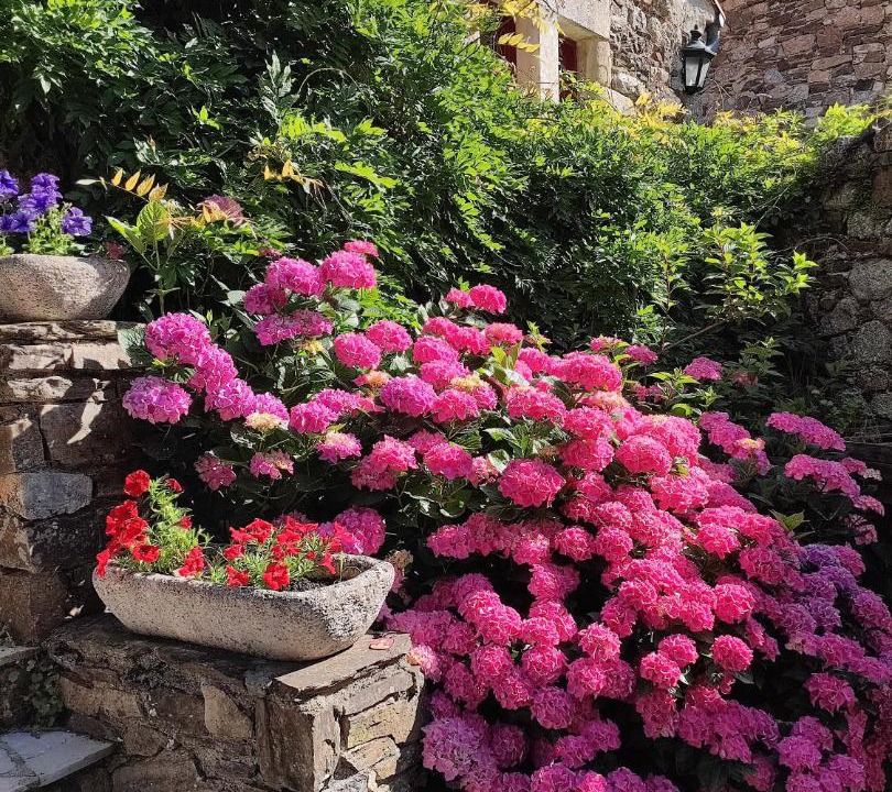 Photo of Others in Breau-et-Salagosse