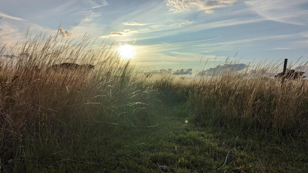 Photo of Others in Stubbekobing