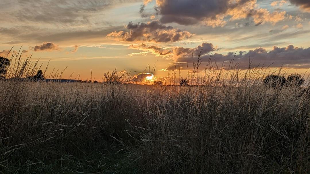 Photo of Others in Stubbekobing