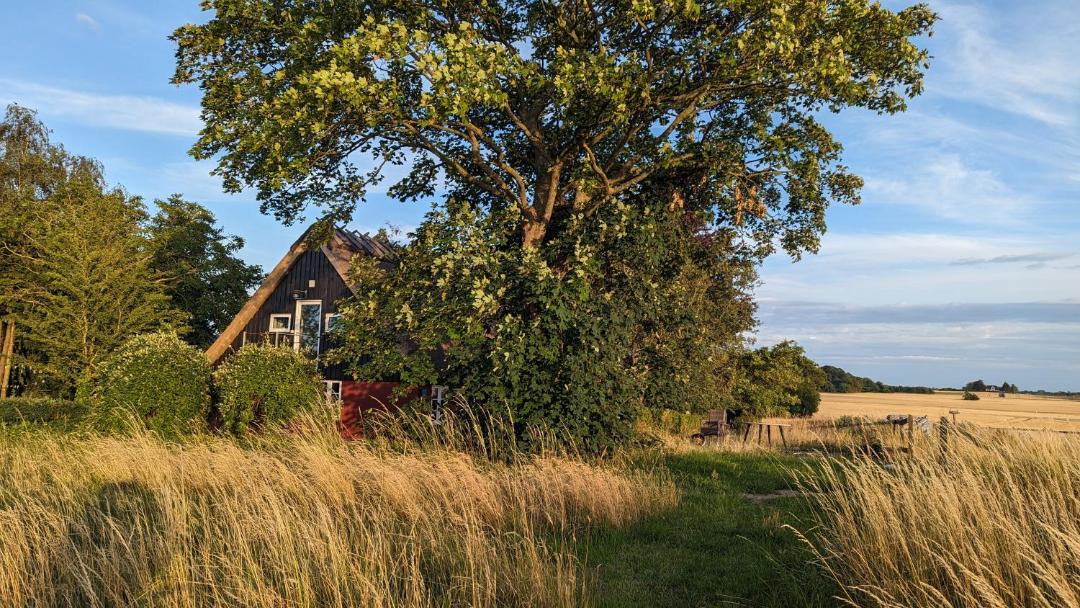 Photo of Others in Stubbekobing