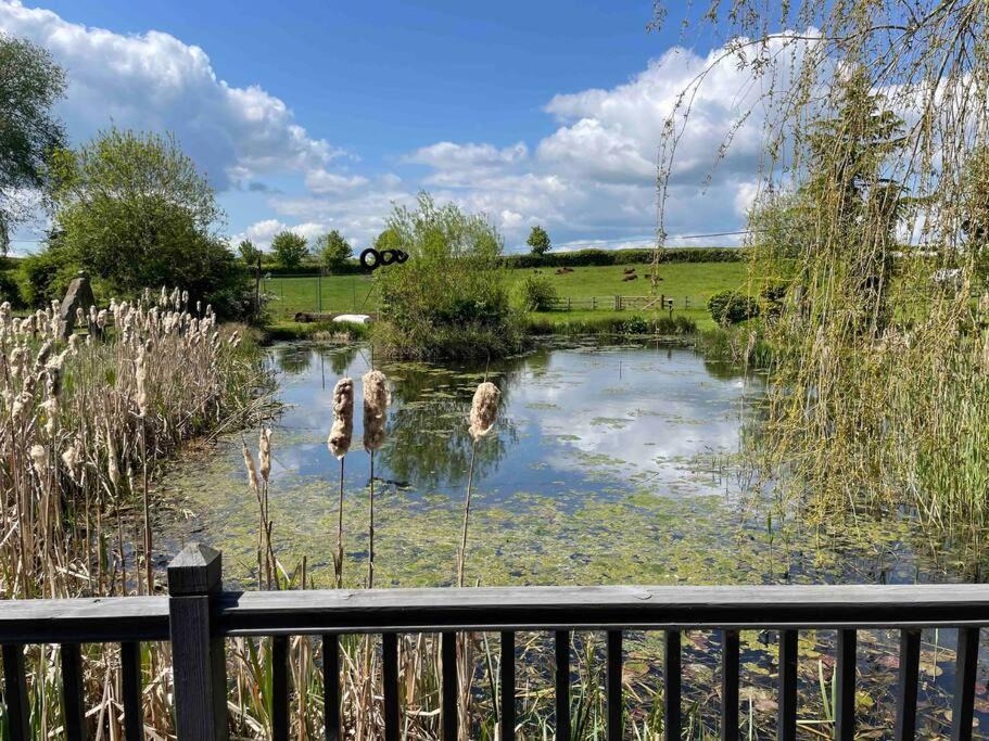 Photo of Others in Pitchcombe