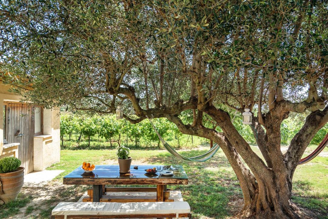 Photo of Others in Paliki