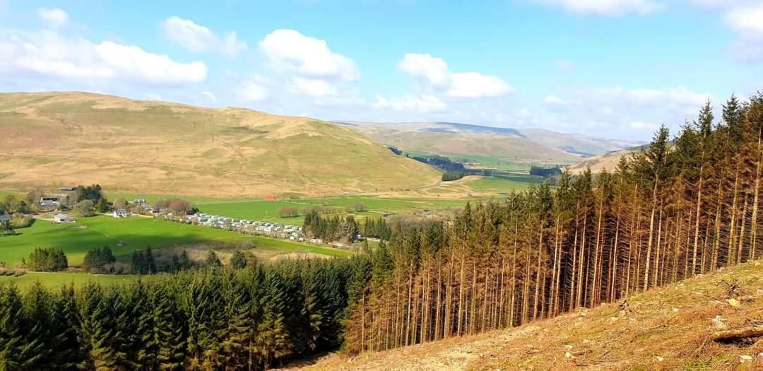 Photo of Others in Selkirk