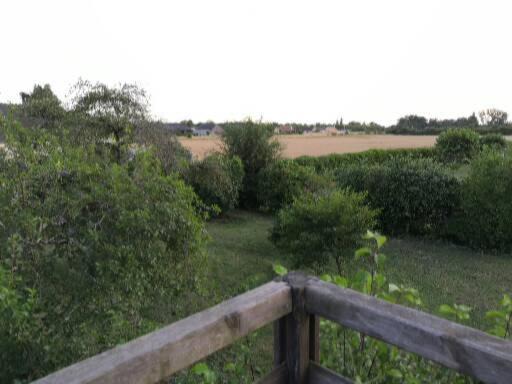 Photo of Others in Saint-Germain-du-Val