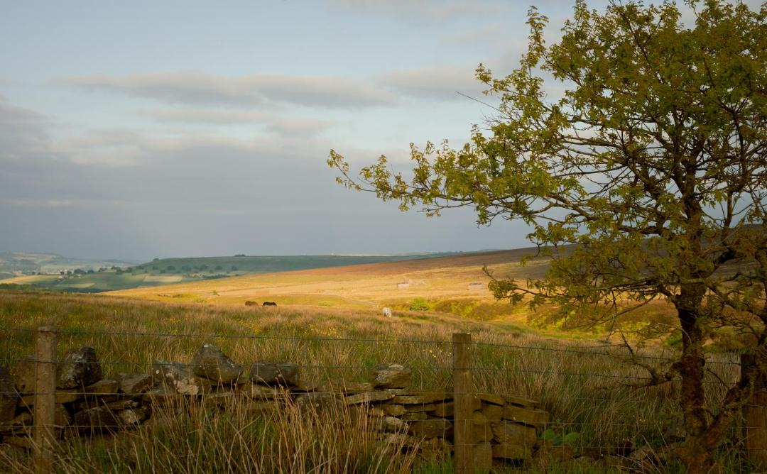 Photo of Others in Hebden Bridge