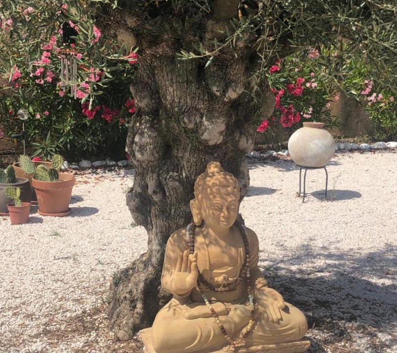 Photo of Others in Plan-de-la-Tour