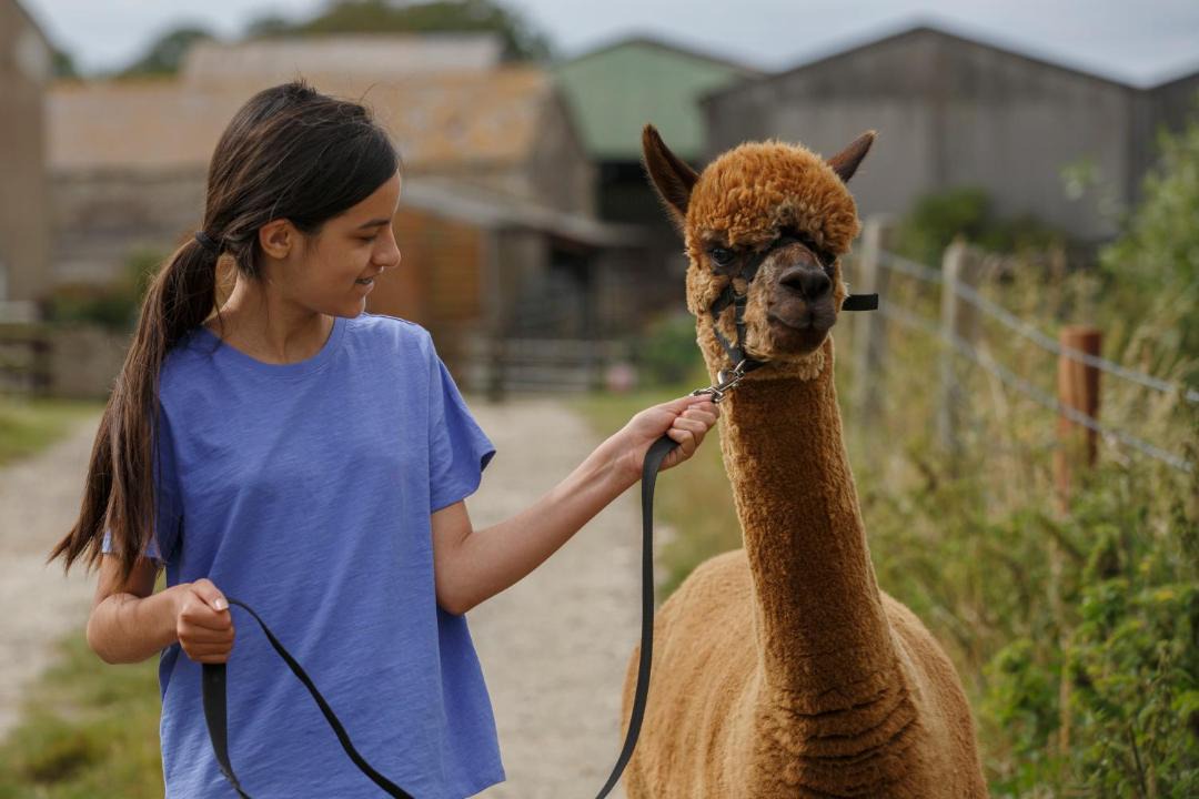 Photo of Others in Weymouth
