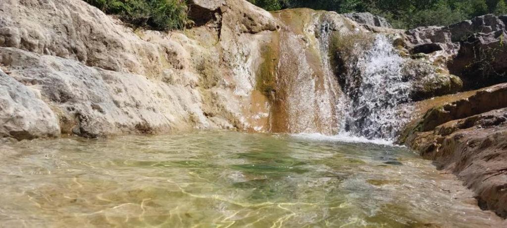 Photo of Others in Peille