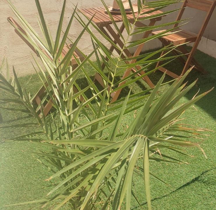 Photo of Others in Saint-Andiol