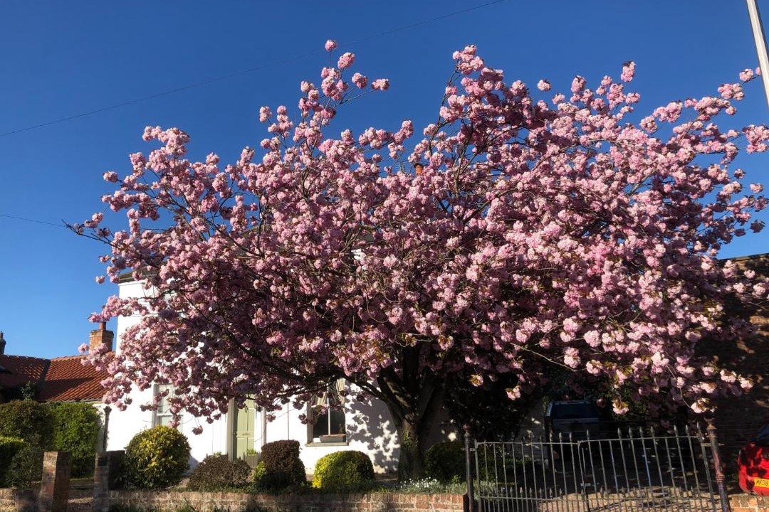 Photo of Others in York