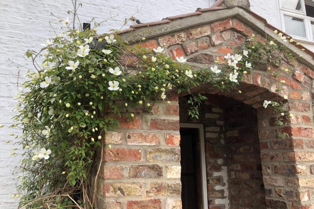 Photo of Others in York