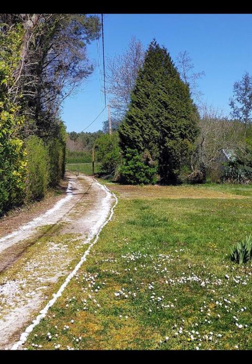 Photo of Others in Boisredon