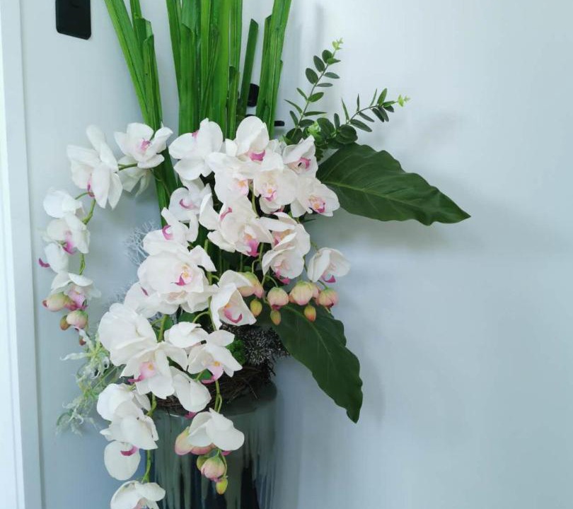 Photo of Others in Greerton